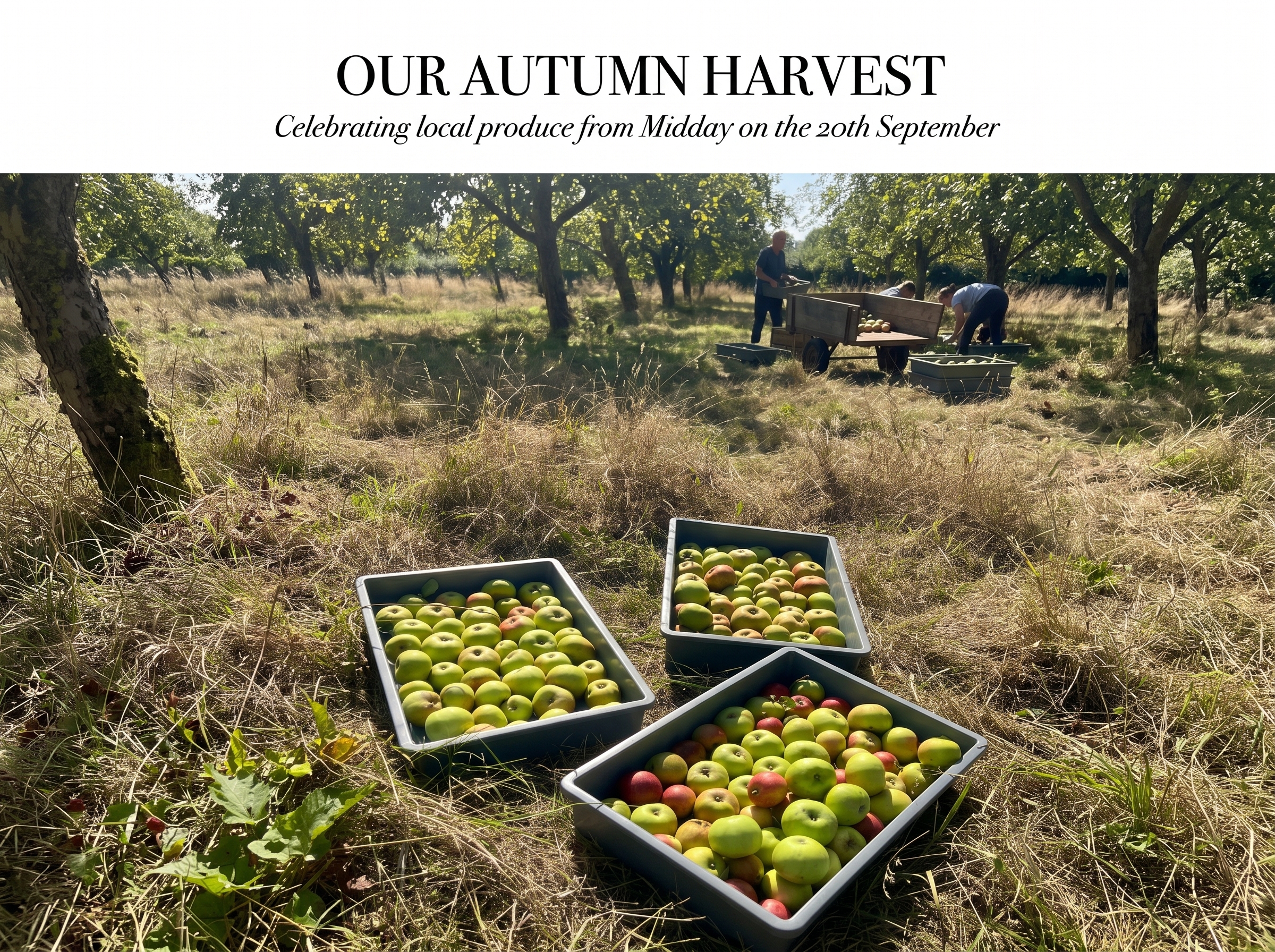 Our Autumn Apple Harvest Day