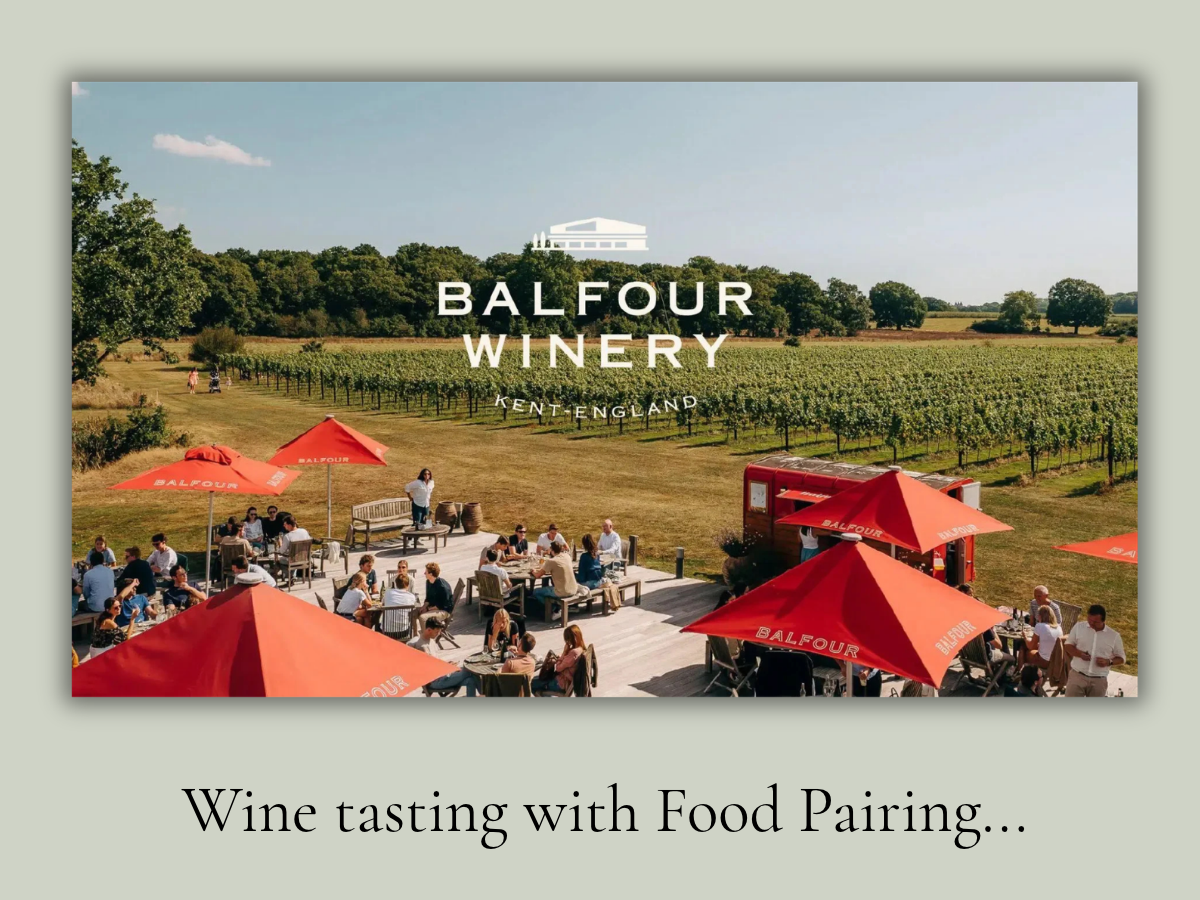 Wine Tasting with Food Pairing